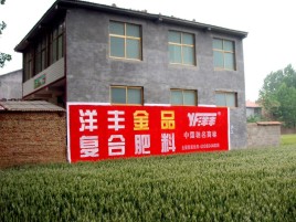 荆州如何让墙体广告展现最大化效果
