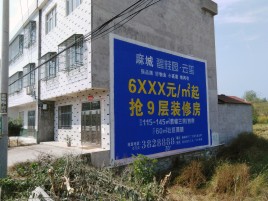 荆州墙体广告质量分析
