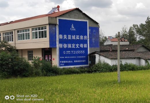 荆州决定墙体广告价格的因素有哪些?