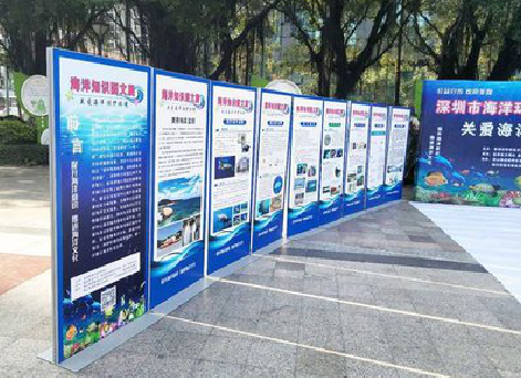 荆州KT板的种类和知识。